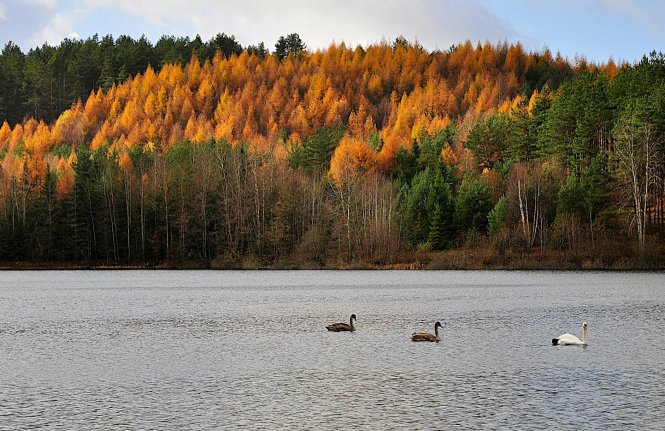 Atrakcje Kaszuby