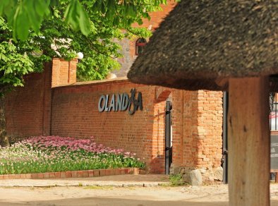 Olandia